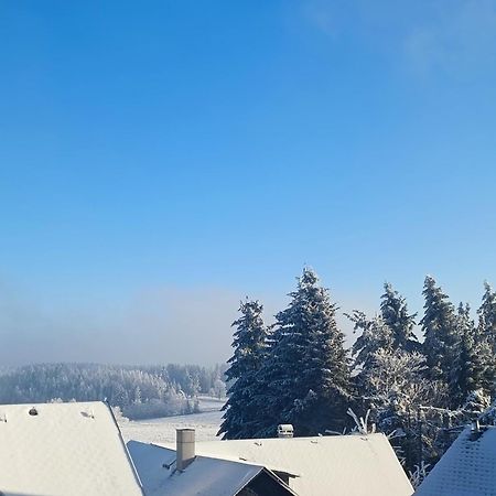 Pension Thueringer Wald Reichmannsdorf Exterior photo